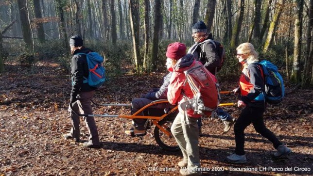 eventi/514-ESCURSIONE SOLIDALE NELLA FORESTA CC FORESTALI-2025-05-17/fotopresentazione/images/Screenshot 2025-04-17 093416.jpg